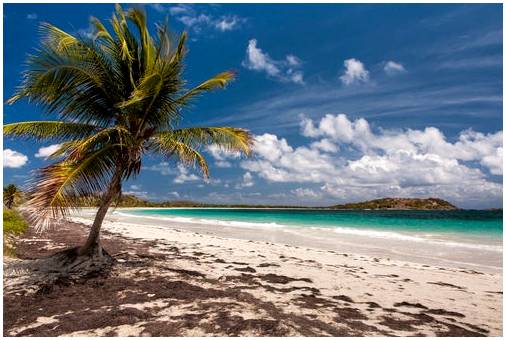Остров Мартиника, карибский рай