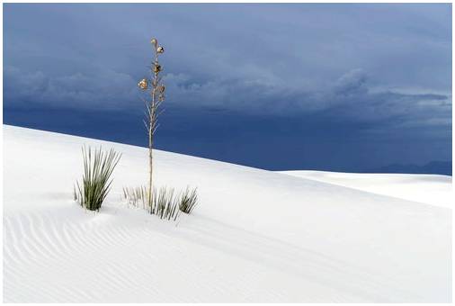 Белые пески: сказочная Белая пустыня
