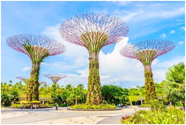 Волшебные деревья садов у залива в Сингапуре