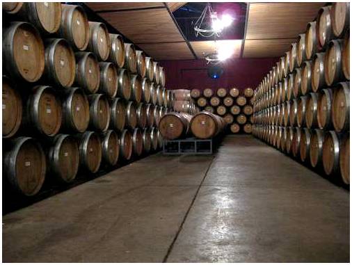 Долина Кольчагуа в Чили и ее винодельческие традиции