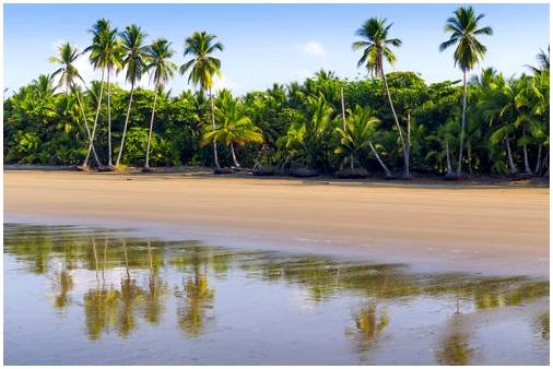 Лучшие пляжи Коста-Рики