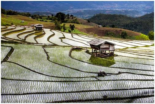 Рисовые поля в Китае, невероятные пейзажи