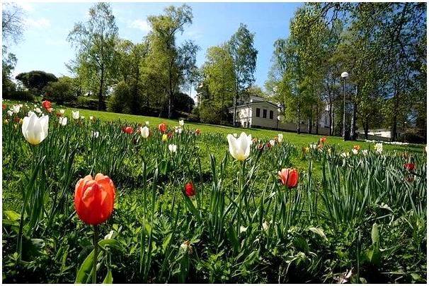 Парк Сибелиуса, самая известная зеленая зона в Хельсинки.