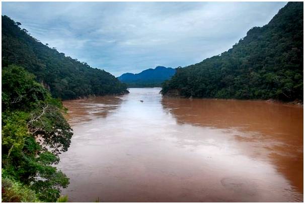 Все, что вам нужно знать о боливийской Амазонке