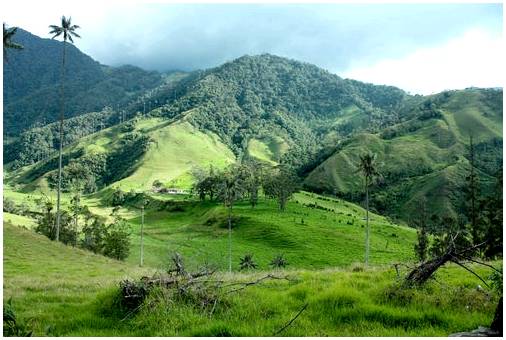 Валле-де-Кокора, Колумбия, природа в чистом виде