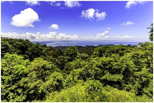 Мы открываем для себя невероятные пейзажи Суринама.