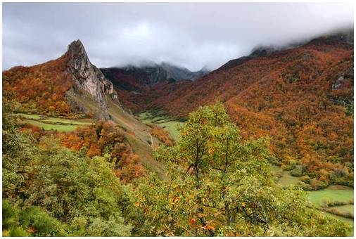 Природный парк Сомиедо в Астурии, чистая природа