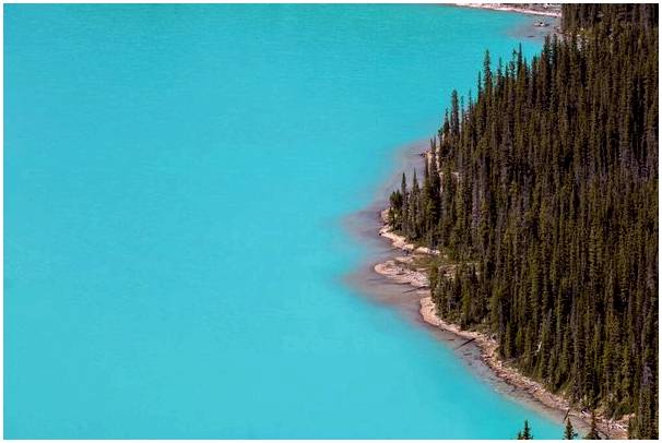 Озеро Пейто, прекрасный вид на Альберту в Канаде