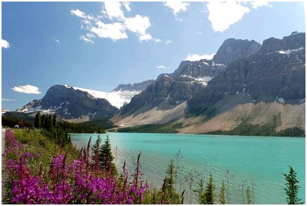 Озеро Пейто, прекрасный вид на Альберту в Канаде