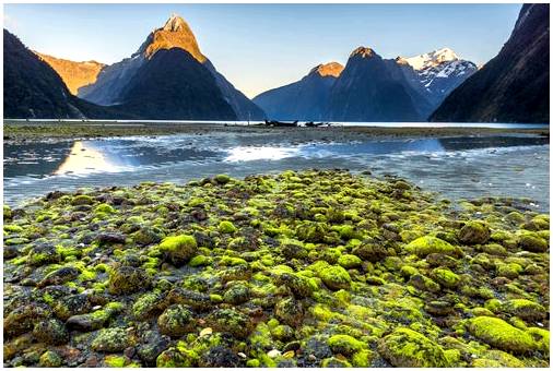 Милдфорд-Саунд в Новой Зеландии, самый красивый фьорд