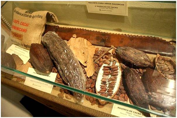 5 причин посетить Музей шоколада Astorga