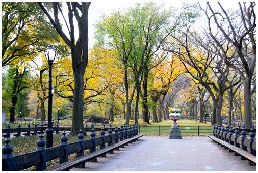Прогулка по Центральному парку в Нью-Йорке.