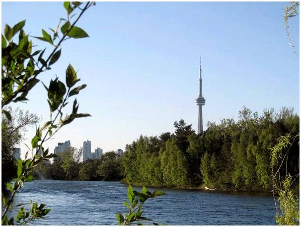 5 важных вещей, которые нужно увидеть в Торонто