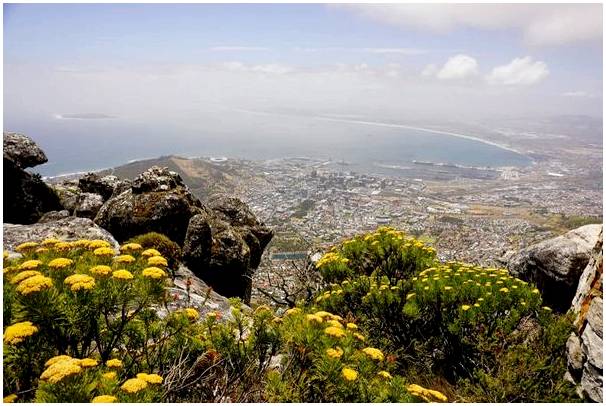 Поднимитесь на Столовую гору Кейптауна