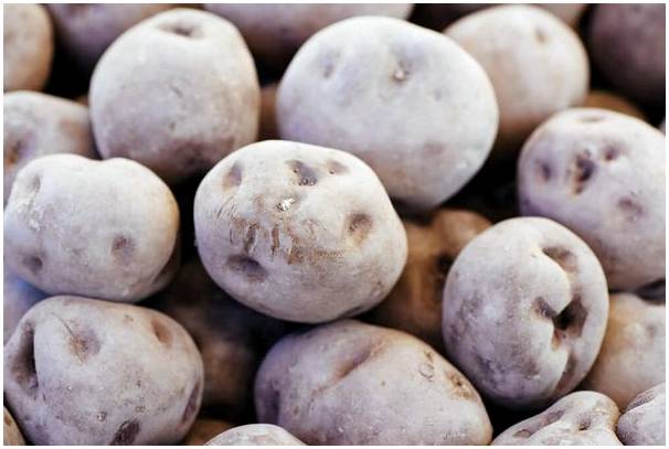Откройте для себя разнообразие местного картофеля Перу.