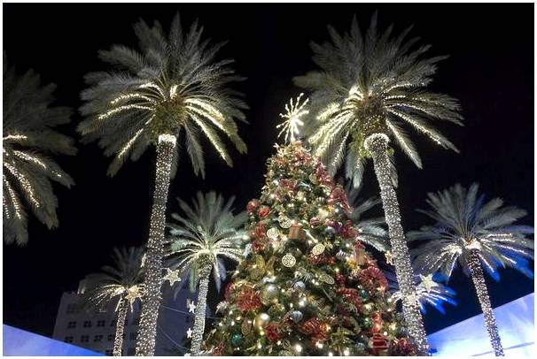 Наслаждайтесь эксклюзивным Рождеством в Майами