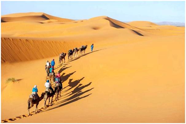 Сахара: самая большая неполярная пустыня в мире