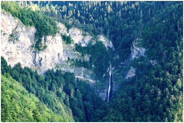 Перучица в Боснии: тропический лес в Европе