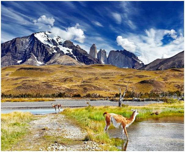 Национальный парк Торрес-дель-Пайне и его большое биоразнообразие