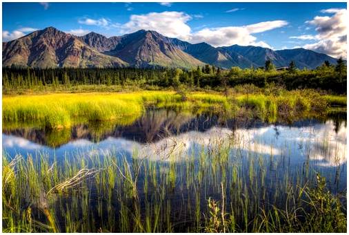 8 ярких фотографий Аляски, сказочного места