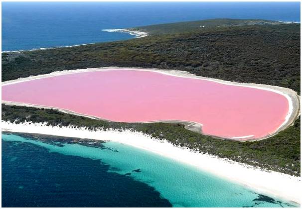 Откройте для себя невероятные розовые воды озера Хиллиер в Австралии.