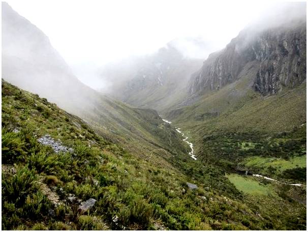 Эль Кокуи, сказочный национальный парк в Колумбии.