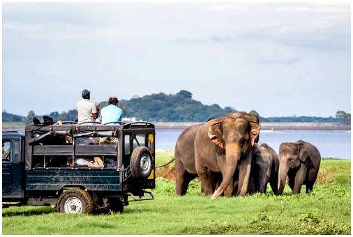 Сокровища Шри-Ланки, огромный и красивый остров