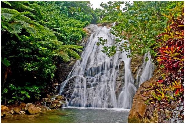 Вануату: откройте для себя водопады и поплавайте с черепахами