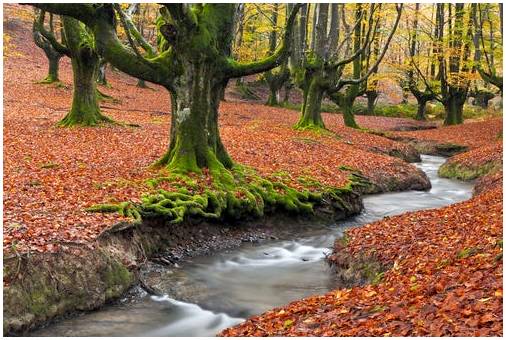 10 мест в Испании, где можно потеряться осенью