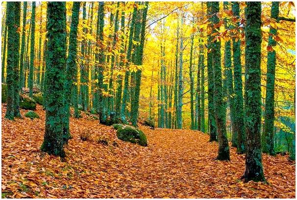 10 мест в Испании, где можно потеряться осенью