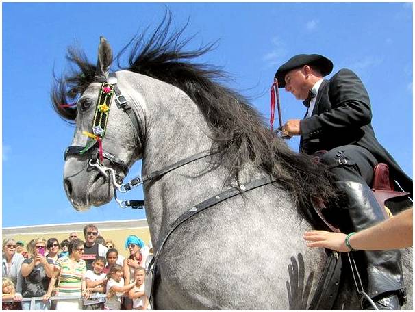 Праздник Сан-Хуана на Менорке: традиции вокруг лошади