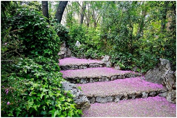 Сады Кампо-дель-Моро, важное место для посещения в Мадриде