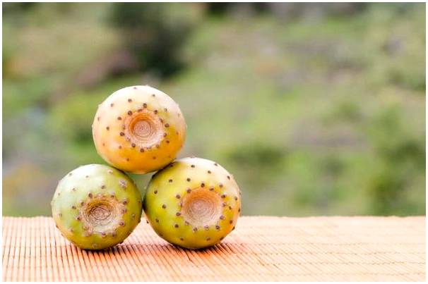 Познакомьтесь с самыми экзотическими фруктами Мексики.