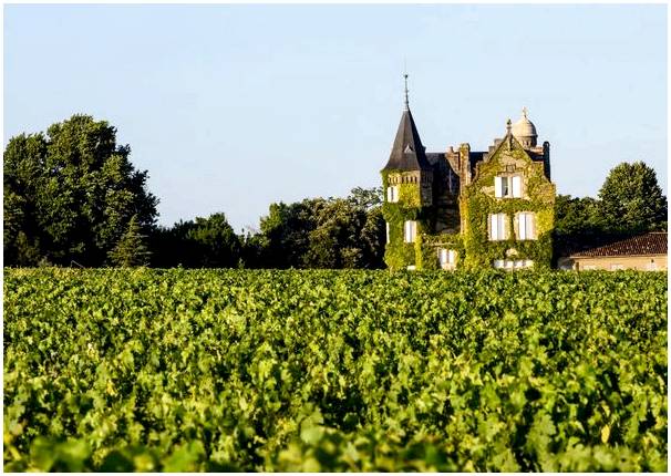 Познакомьтесь с самыми известными замками и виноградниками Бордо.