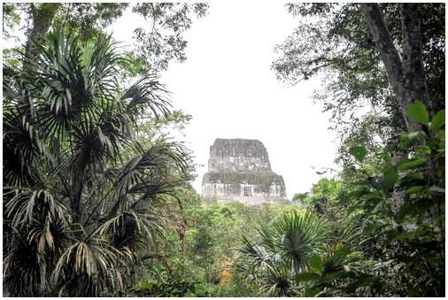 Что посмотреть в национальном парке Тикаль в Гватемале