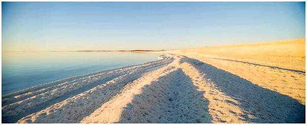 Shell Beach: покрытый ракушками пляж в Австралии.