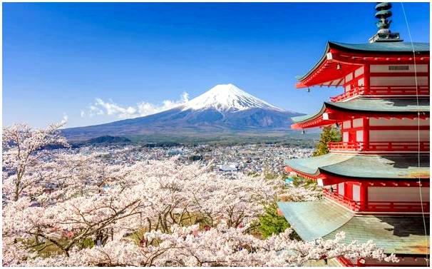 Советы поехать в Японию и не пережить «шок» культурный