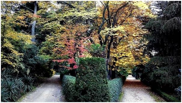 Проведите день с семьей в Ботаническом саду Мадрида.