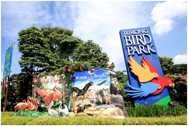Парк птиц Джуронг: откройте для себя огромный вольер в Сингапуре