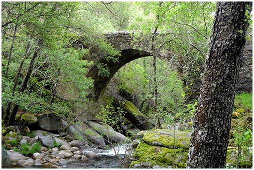 6 самых красивых лесов Испании