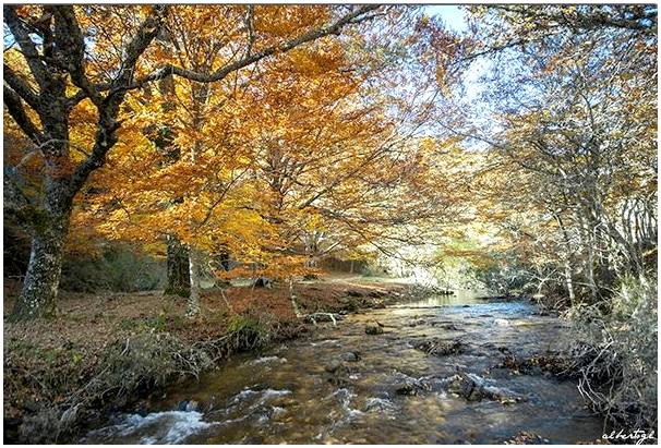 Испанские леса в картинках: красота в чистом виде