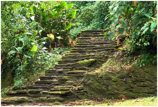 Парк Тайрона в Колумбии, красивый заповедник