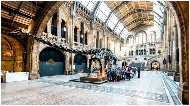 Посещение Музея естественной истории в Лондоне.