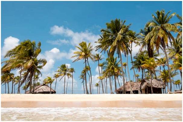Спланируйте свой отпуск в конце года в Карибском раю