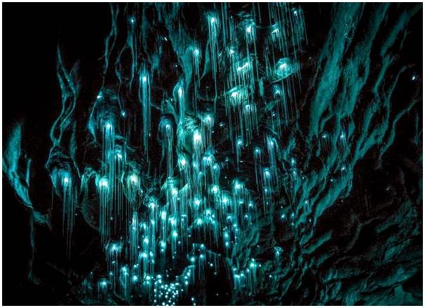 Откройте для себя невероятные пещеры светлячков Вайтомо в Новой Зеландии.