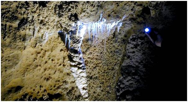 Откройте для себя невероятные пещеры светлячков Вайтомо в Новой Зеландии.
