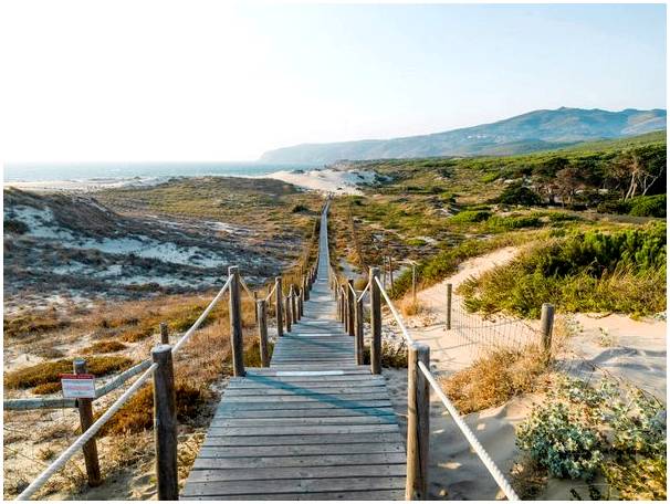 Прогулка по дюнам пляжа Гиншу в Португалии.