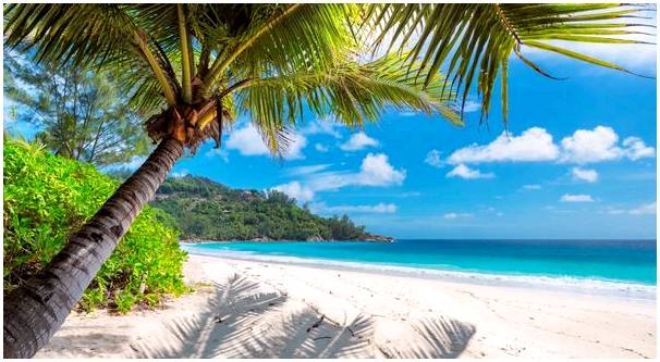 6 причин, которые побудят вас посетить Ямайку