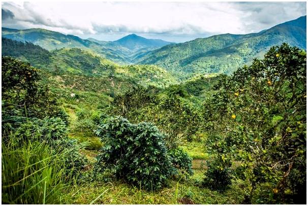 Пещеры Зеленого грота на Ямайке: естественная красота