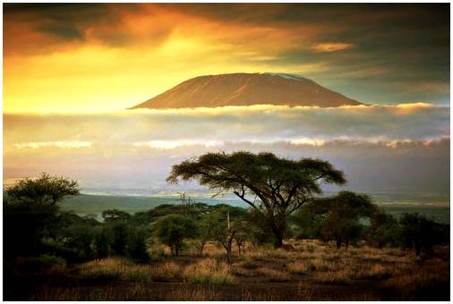 Килиманджаро, вершина Африки